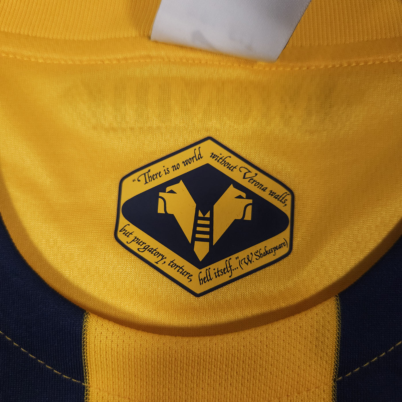 Hellas Verona Home Shirt 2015-16 detailed view 8