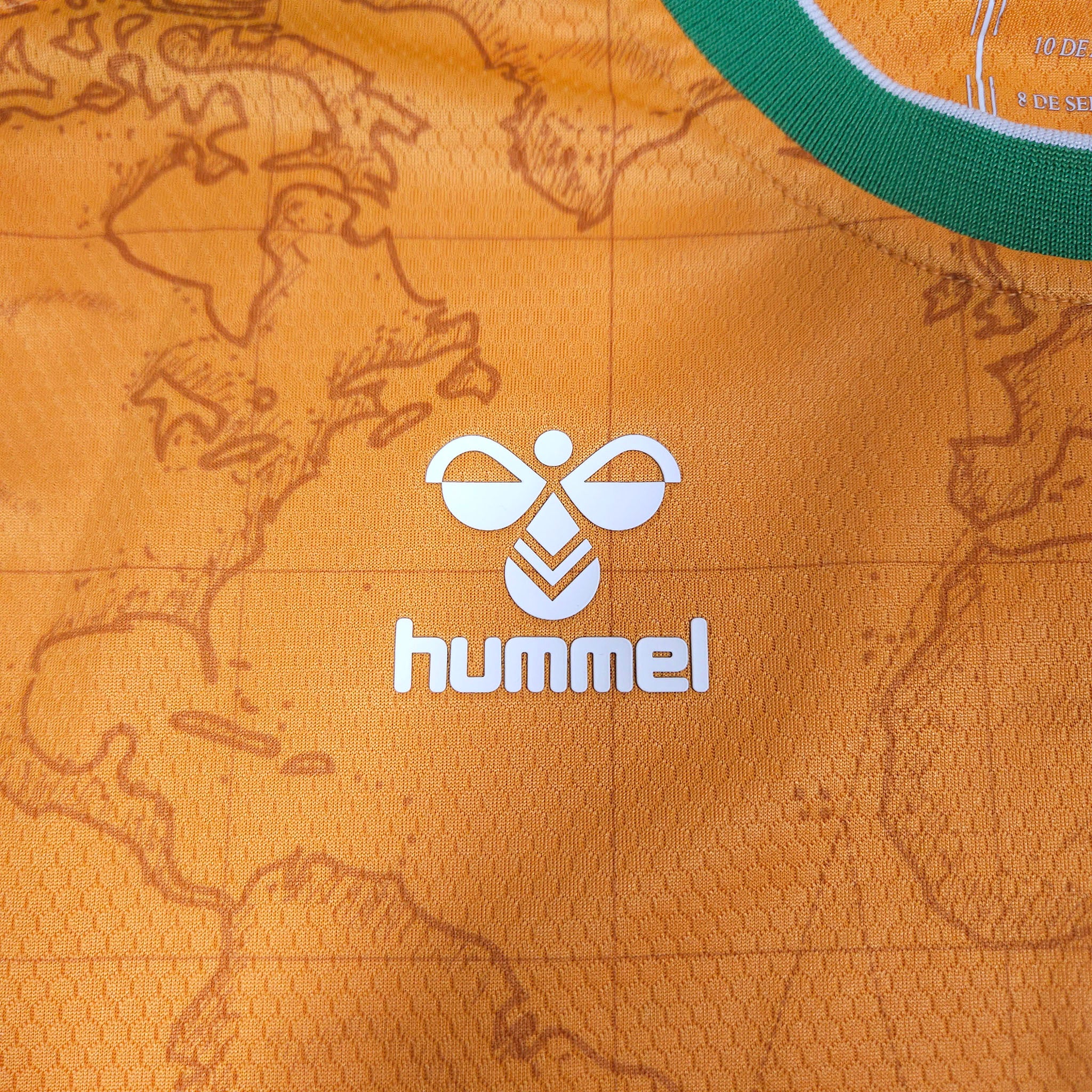 Real Betis Third Shirt 2022-23 detailed view 3