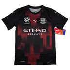 Melbourne City Away Shirt 2020-21 front view