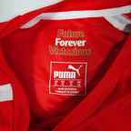 Arsenal Home Shirt 2014-15 detailed view 6