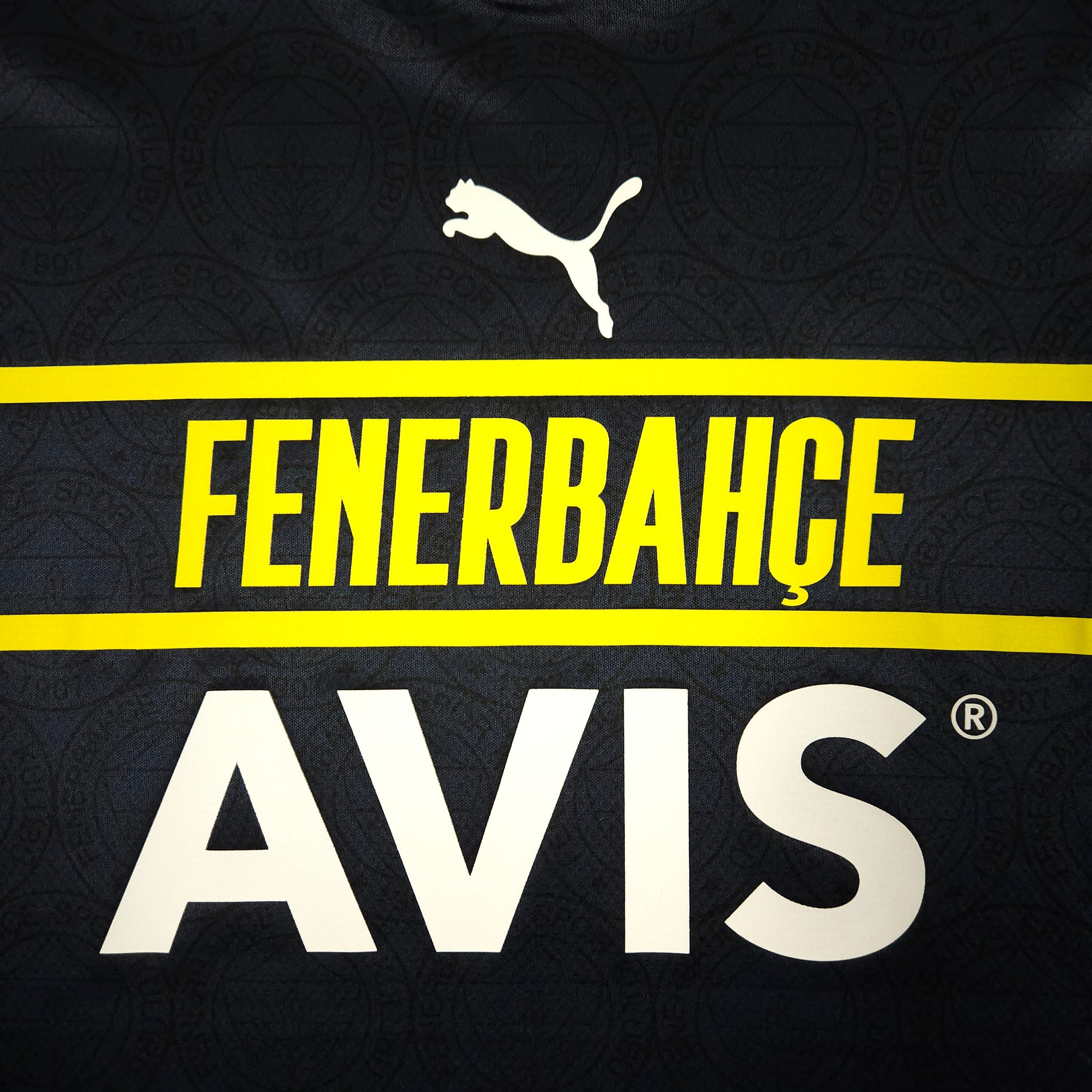 Fenerbahce Third Shirt 2021-22 detailed view 2
