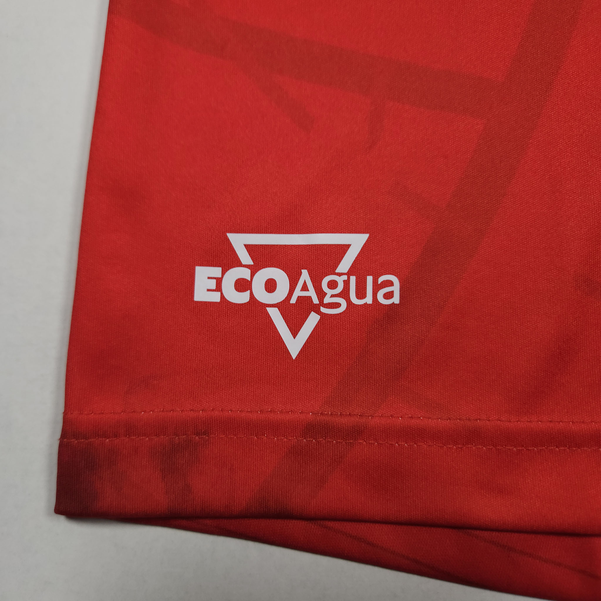 FC Twente Home Shirt 2021-22 detailed view 2