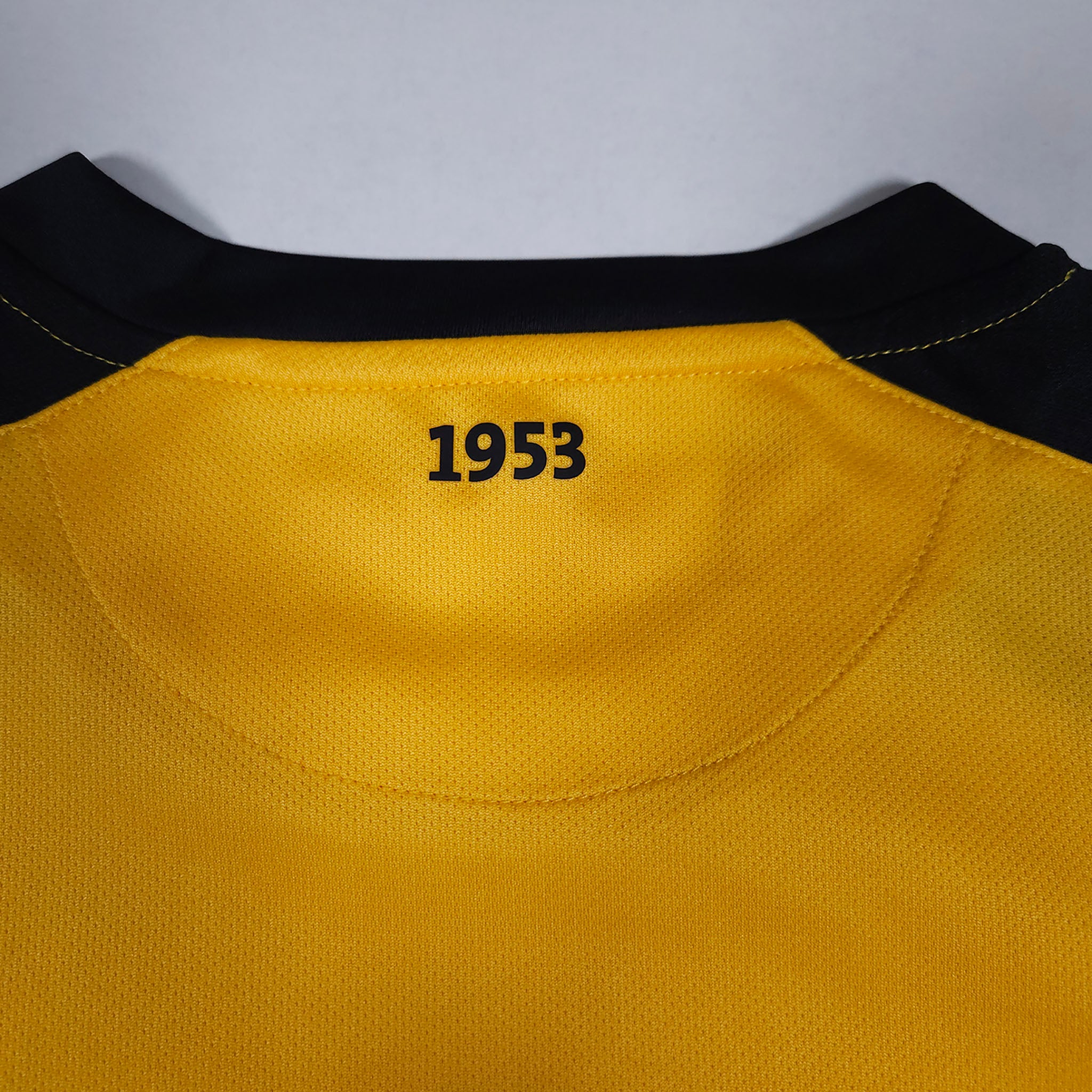 Dynamo Dresden Home Shirt 2021-22 detailed view 10