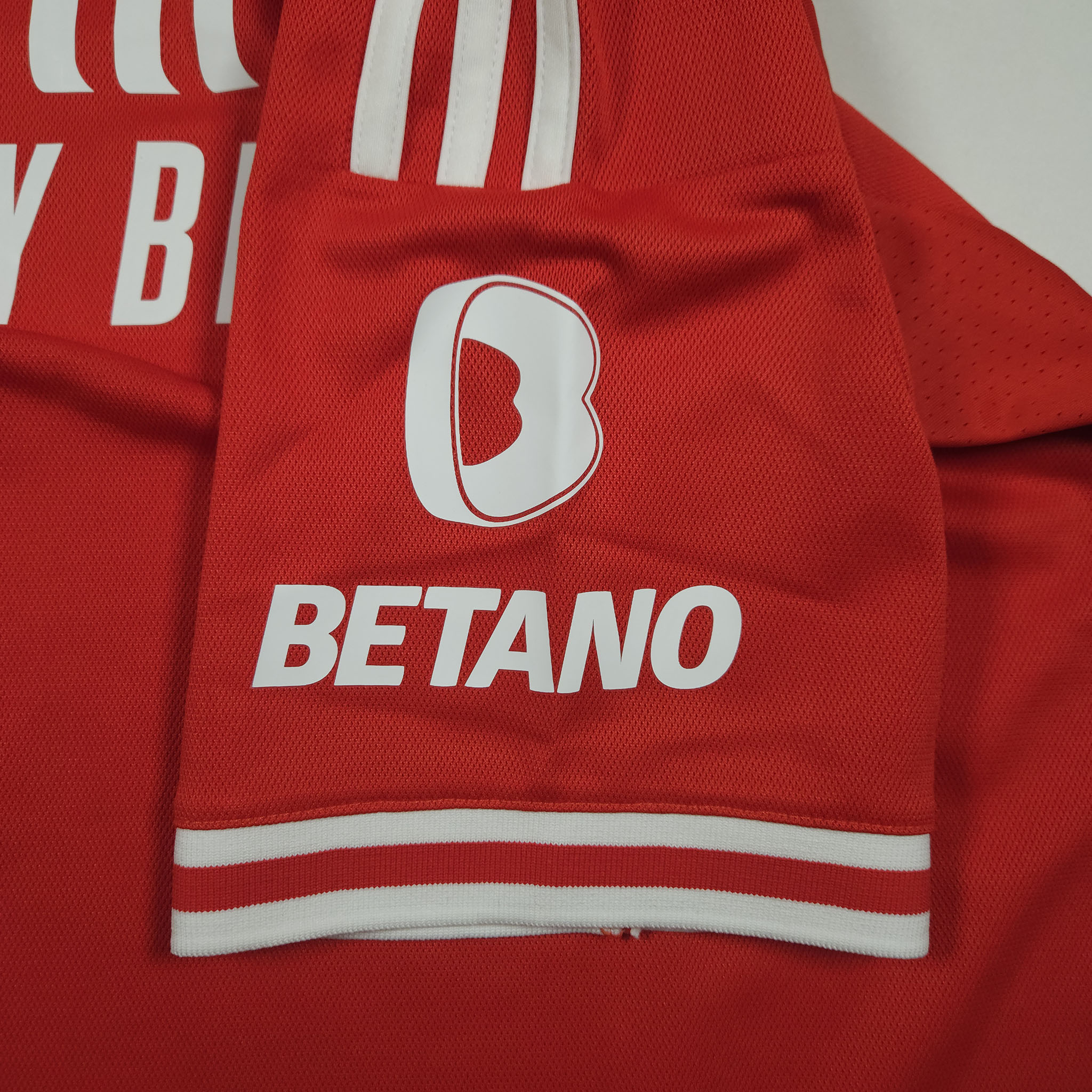 Benfica Home Shirt 2023-24 detailed view 6