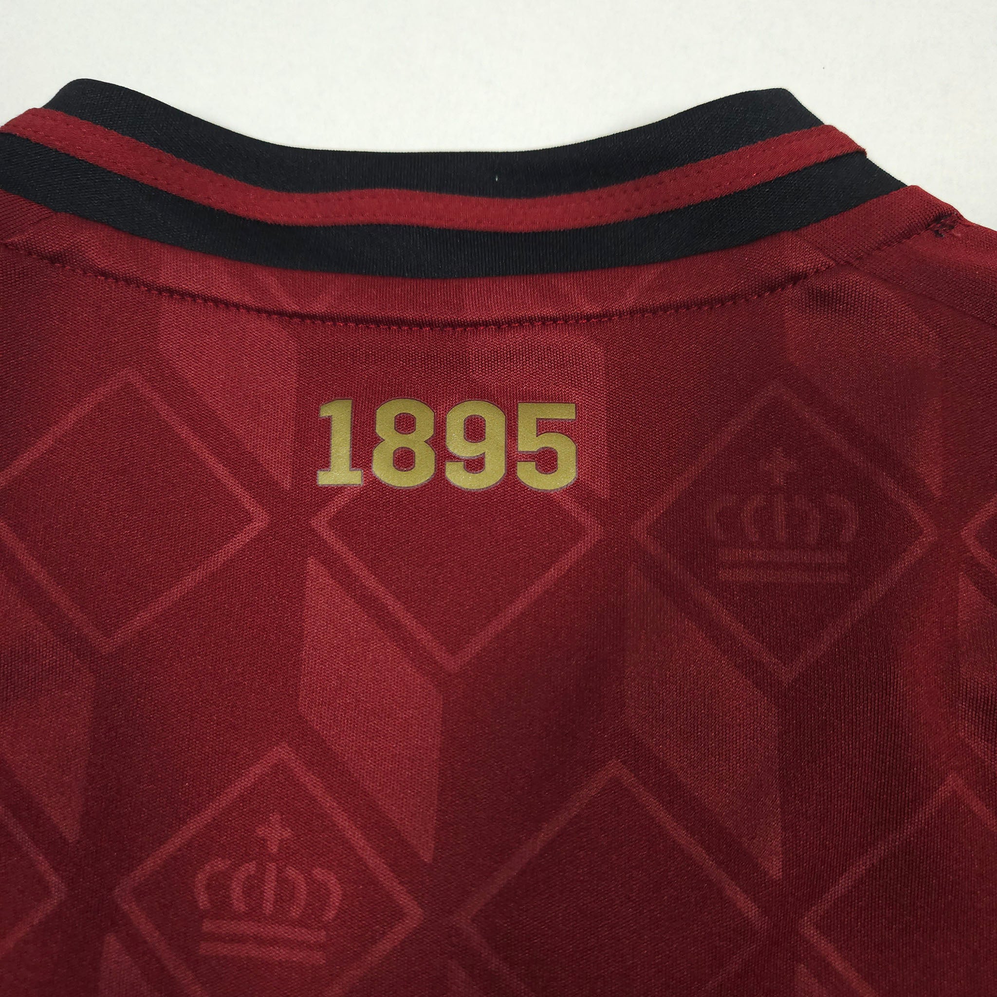 Belgium Home Shirt 2024-25 detailed view 5