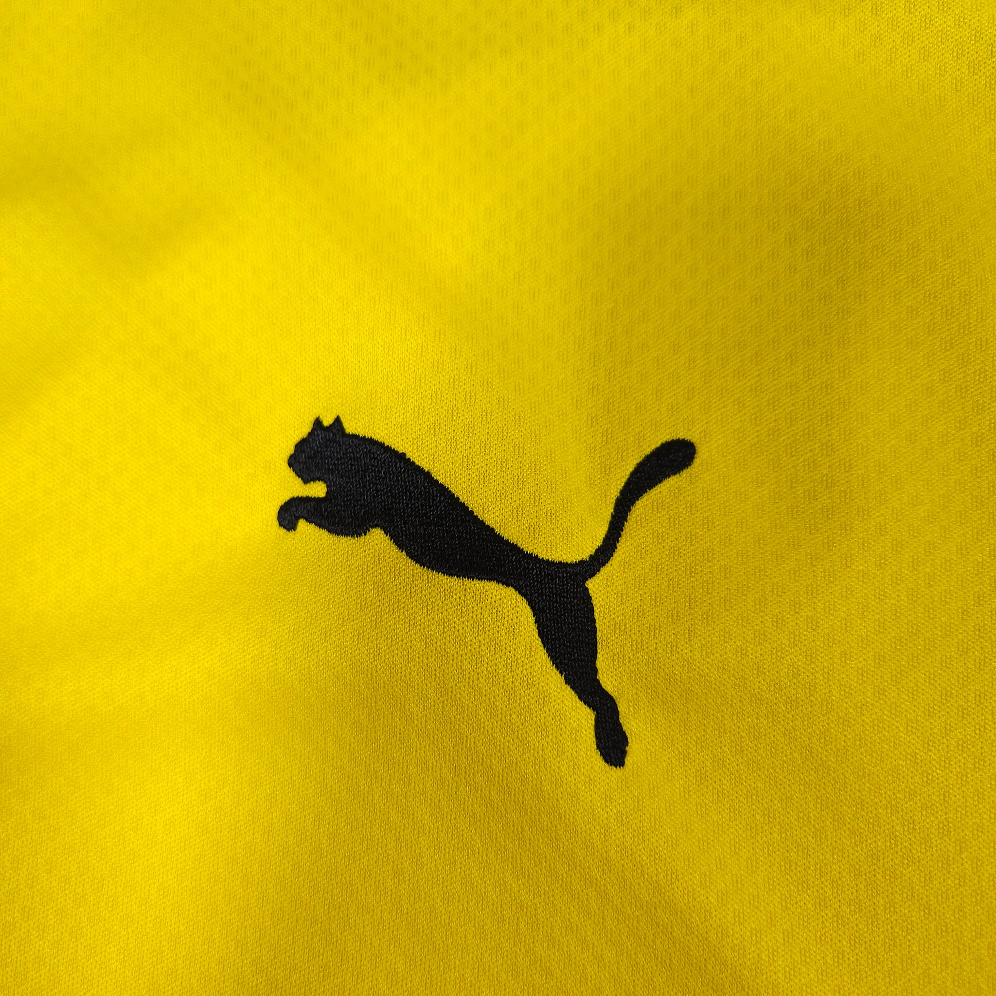 Borussia Dortmund Home Shirt 2021-22 detailed view 3