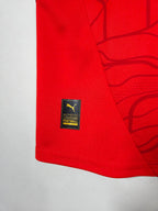 2024-25 Austria Home Shirt